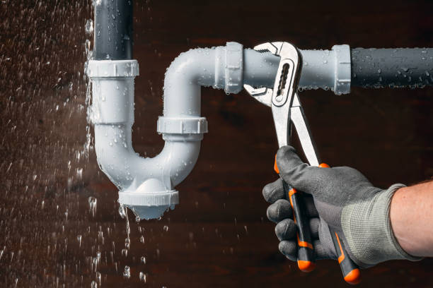 Professional Plumbing technician working in Wolf Lake, MI
